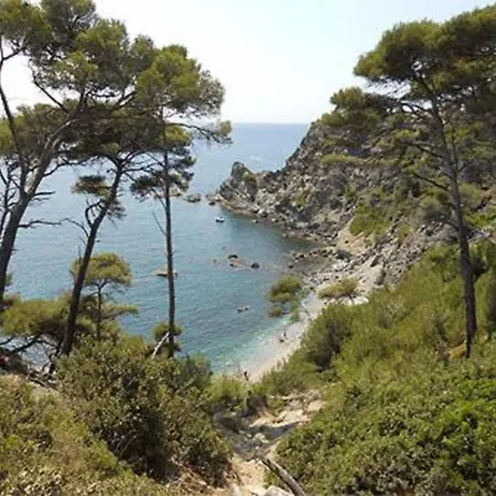 شقة Apartment In Le Brusc Near Sandy Beach *