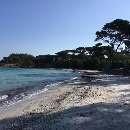 Apartment In Le Brusc Near Sandy Beach سيكس-فور-لو-بلاج